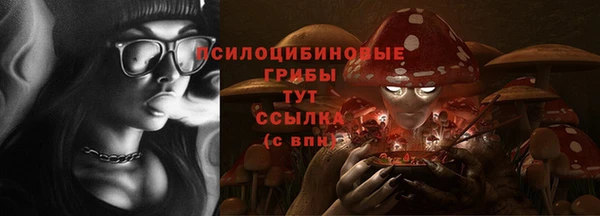 шишки Володарск