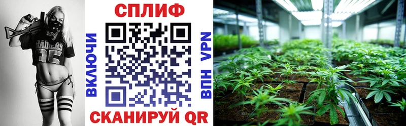 Шишки марихуана индика Купить закладки Волоколамск